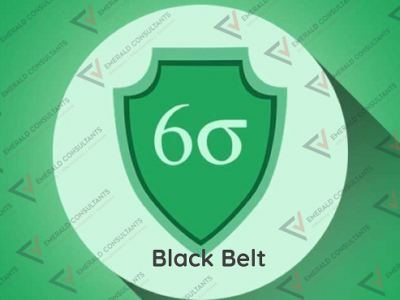 Six Sigma Black Belt