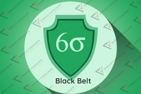 Six Sigma Black Belt