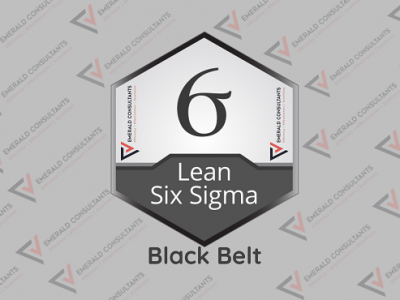 Lean Six Sigma Black Belt