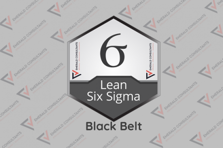 Lean Six Sigma Black Belt