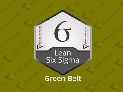 Lean Six Sigma Green Belt