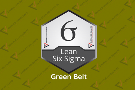 Lean Six Sigma Green Belt