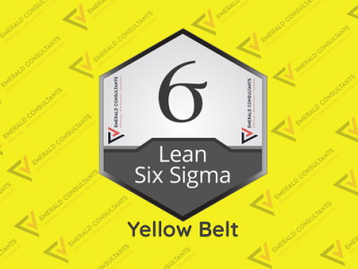 Lean Six Sigma Yellow Belt