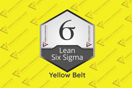 Lean Six Sigma Yellow Belt