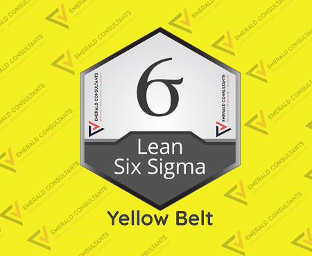 Lean Six Sigma Yellow Belt
