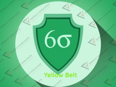 Six Sigma Yellow Belt