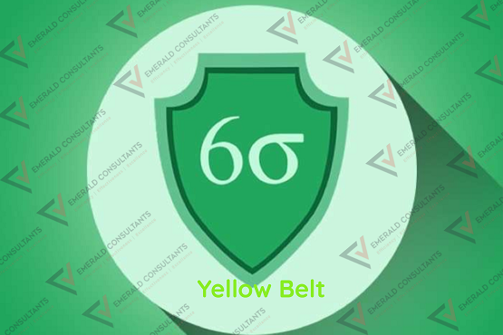 Yellow Belt1